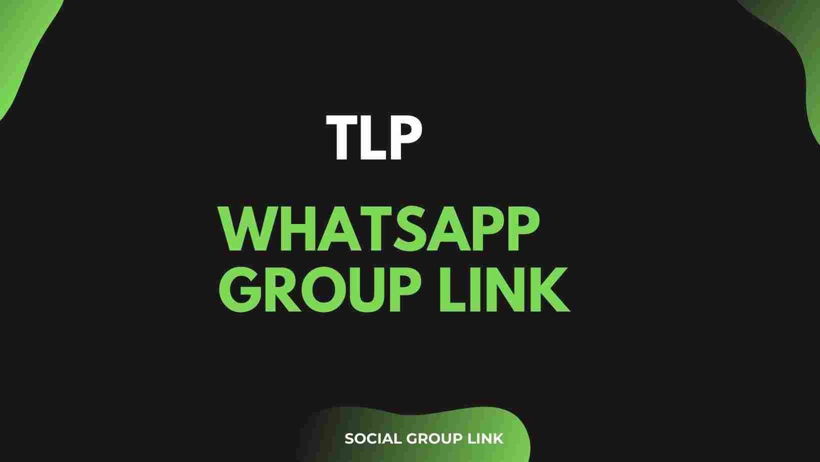 TLP whatsapp group links – Best of 2024